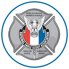 NESA Firefighters Emblem