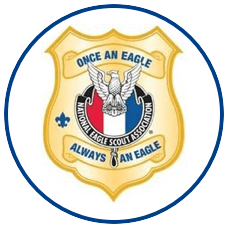 NESA Law Enforcement Professionals Emblem