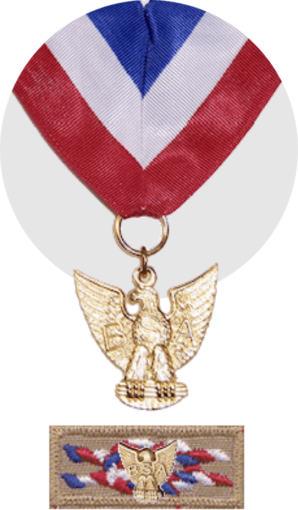 Distinguished Eagle Scout Award - The National Eagle Scout Association