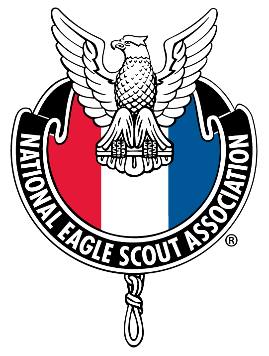 eagle scout essays