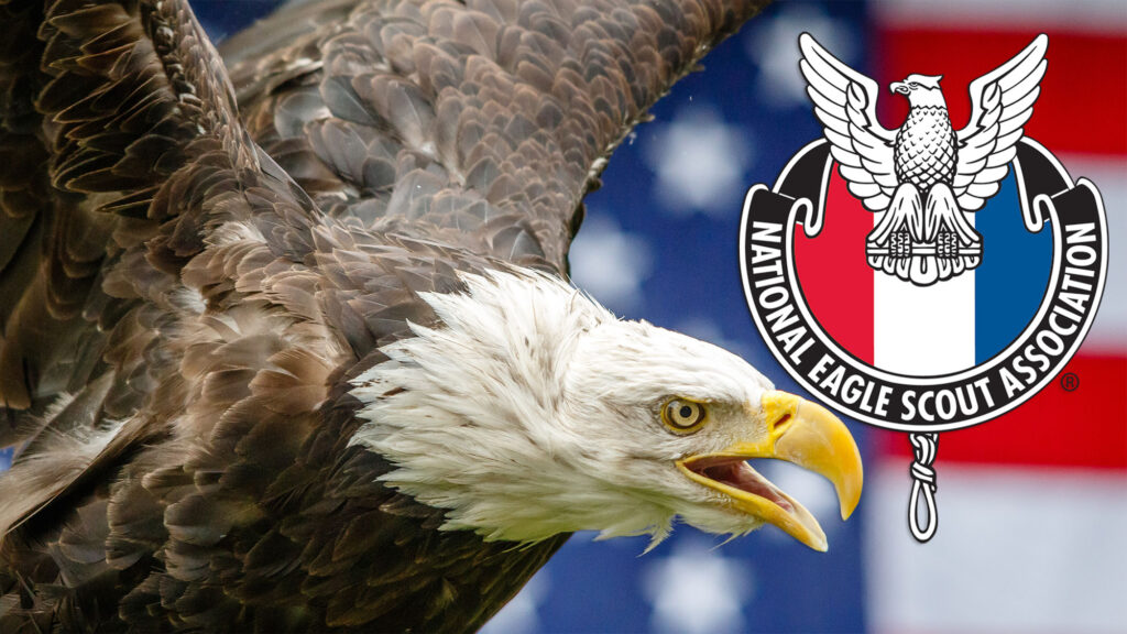 Patriotic Eagle with NESA Logo